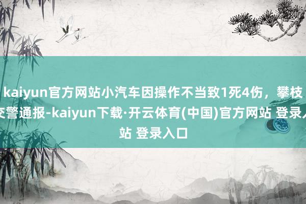kaiyun官方网站小汽车因操作不当致1死4伤，攀枝花交警通报-kaiyun下载·开云体育(中国)官方网站 登录入口