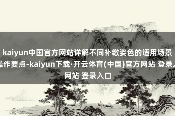 kaiyun中国官方网站详解不同补缴姿色的适用场景与操作要点-kaiyun下载·开云体育(中国)官方网站 登录入口