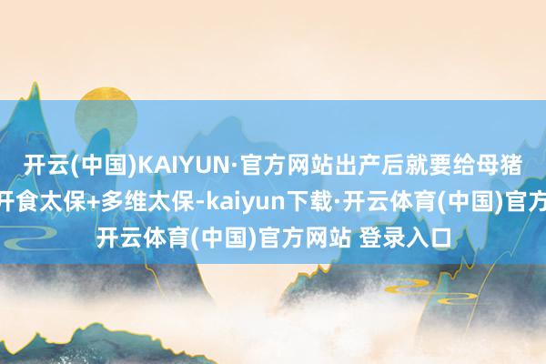 开云(中国)KAIYUN·官方网站出产后就要给母猪喂上畜小牧：开食太保+多维太保-kaiyun下载·开云体育(中国)官方网站 登录入口
